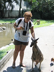 CairnsTC298 Wildlife Habitat